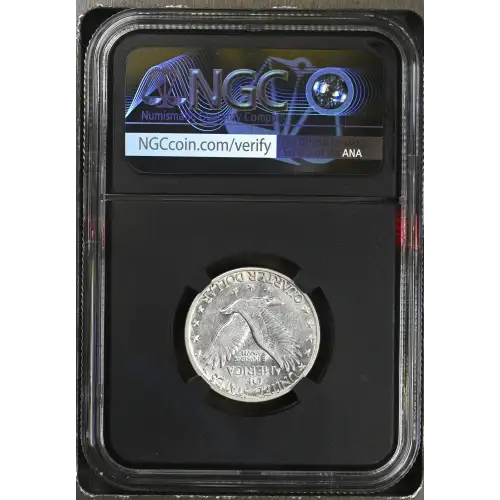 1917 D (3)