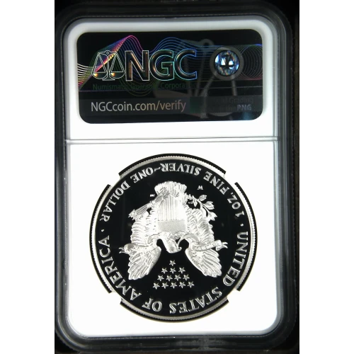 2001 W  ULTRA CAMEO (3)