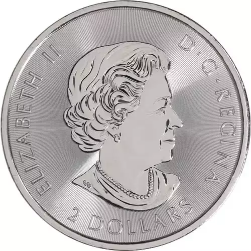 2018 Canadian 1/2 oz Silver Polar Bear Coin (2)