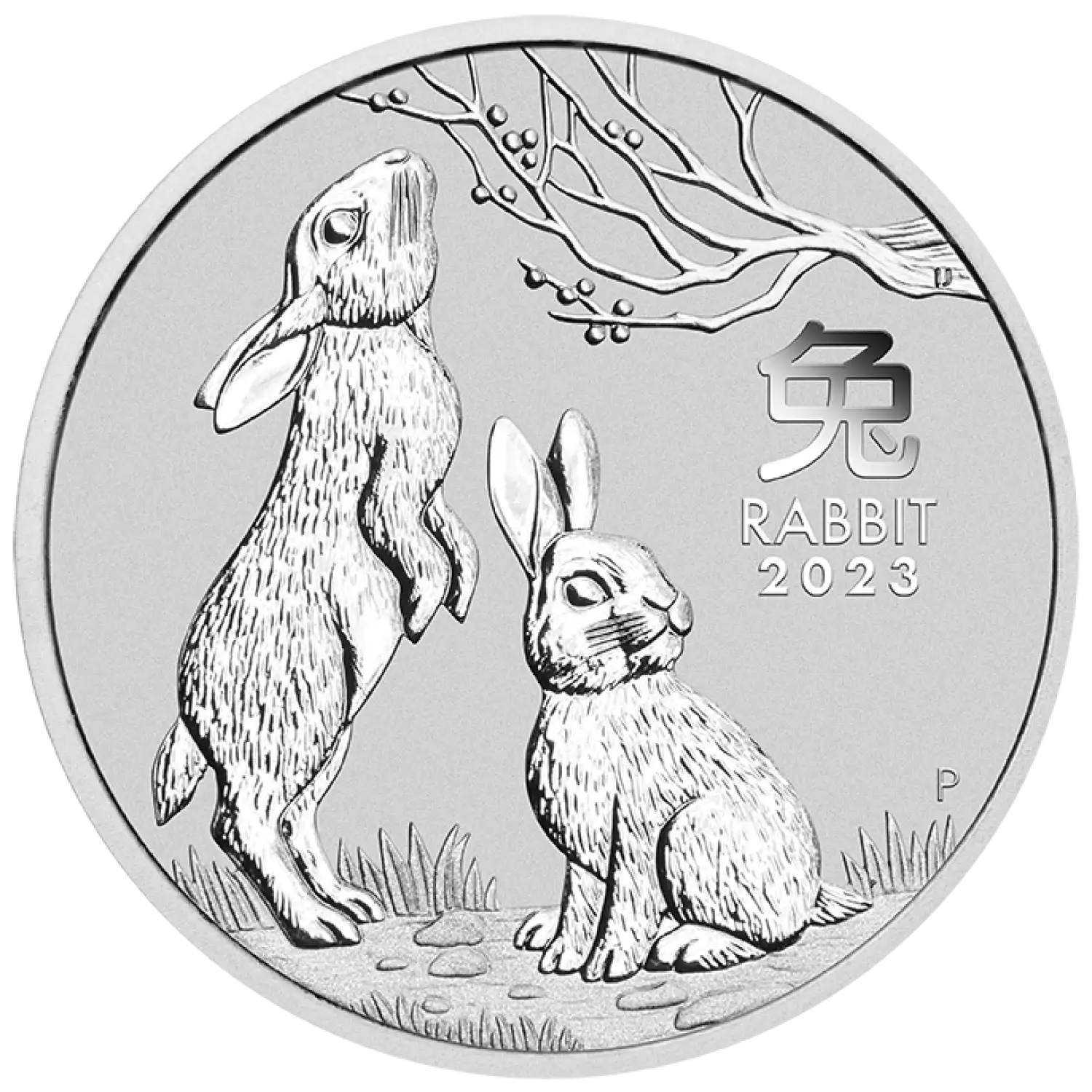 2023 2oz Australian Perth Mint Silver Lunar Series III: Year of the Rabbit (2)